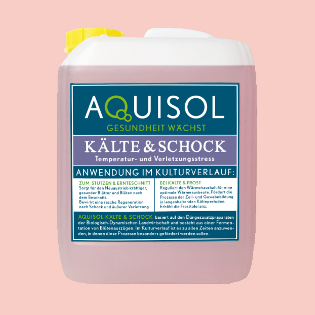 AQUISOL Kälte & Schock